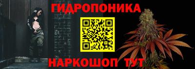 apvp Тверь