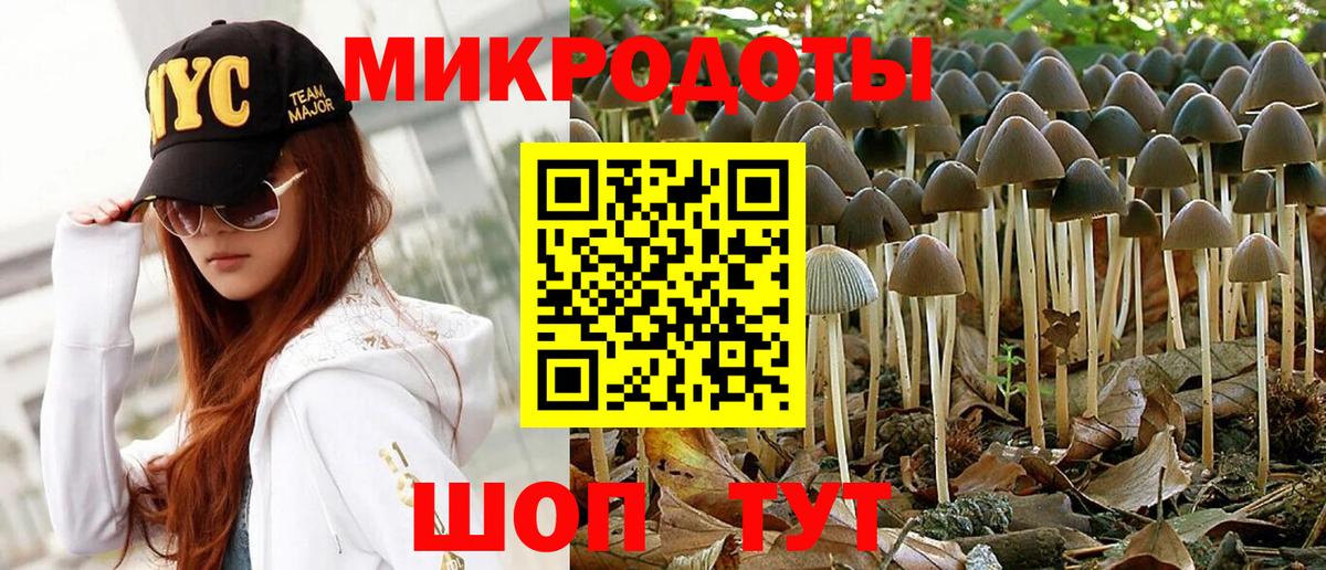 Псилоцибиновые грибы Magic Shrooms Алексеевка