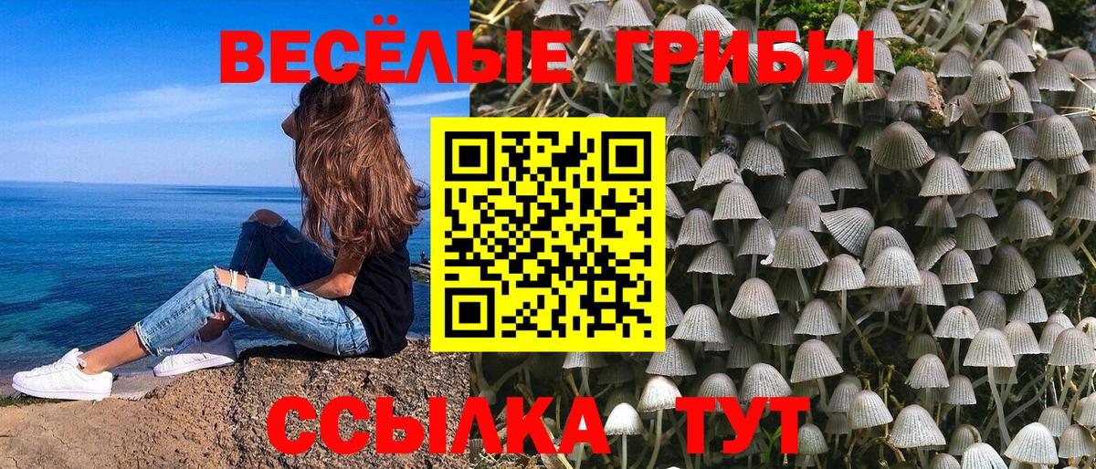 Алексеевка  Псилоцибиновые грибы GOLDEN TEACHER  Вход с VPN 